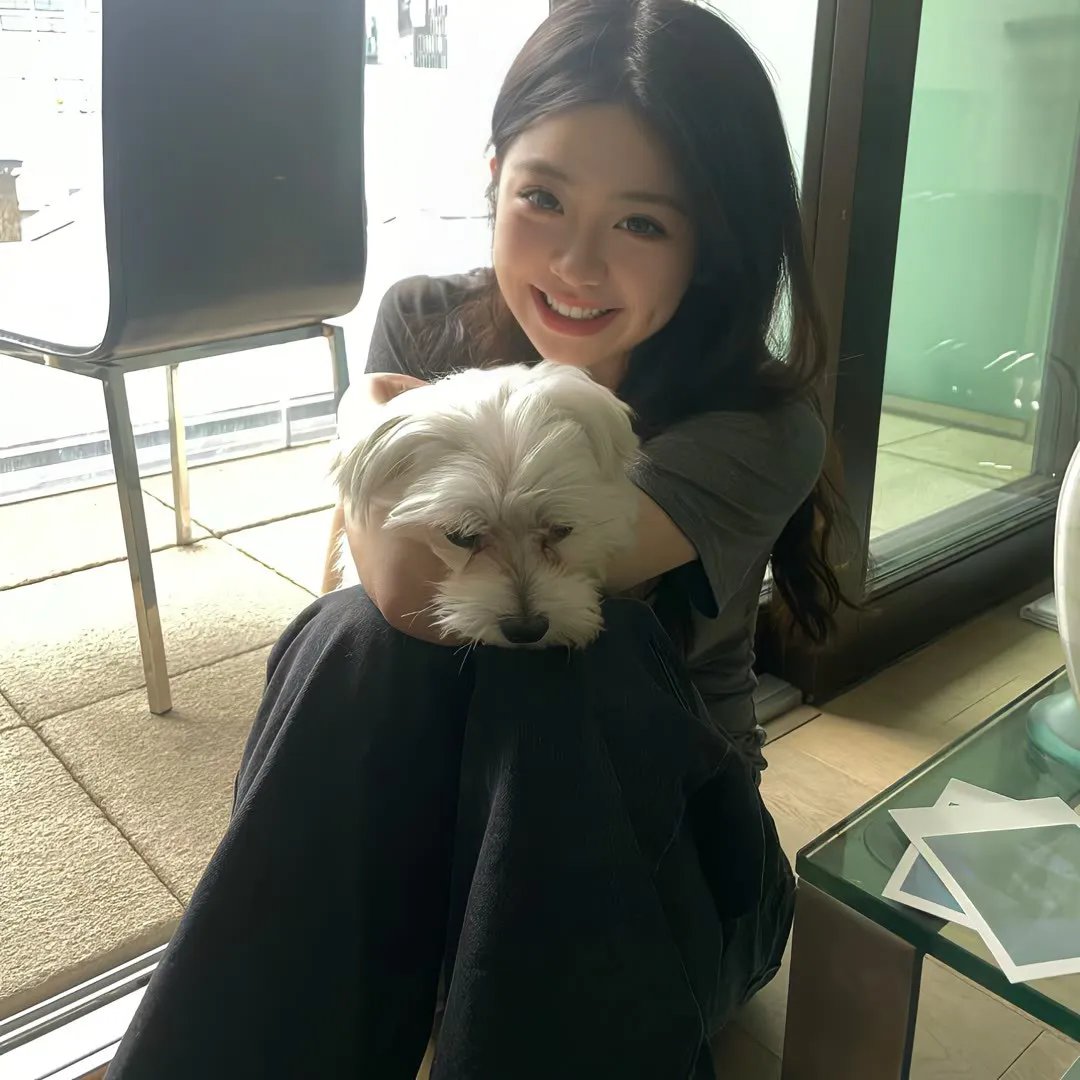 卫斯理之老猫